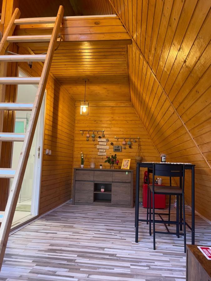 Cabane A-Frame Svinita Kültér fotó