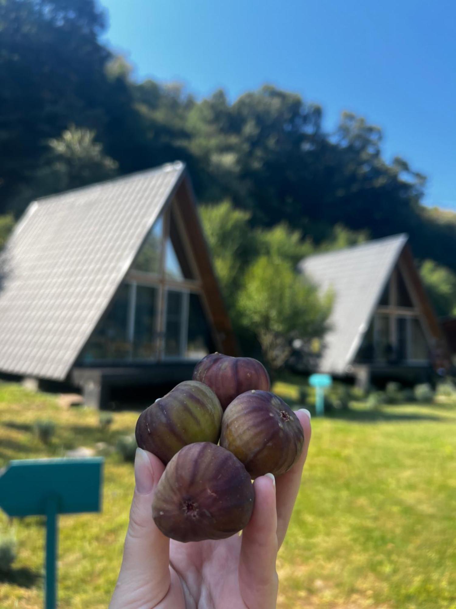 Cabane A-Frame Svinita Kültér fotó