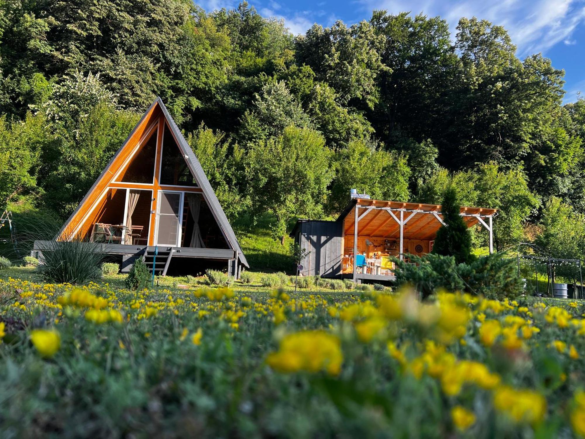 Cabane A-Frame Svinita Kültér fotó