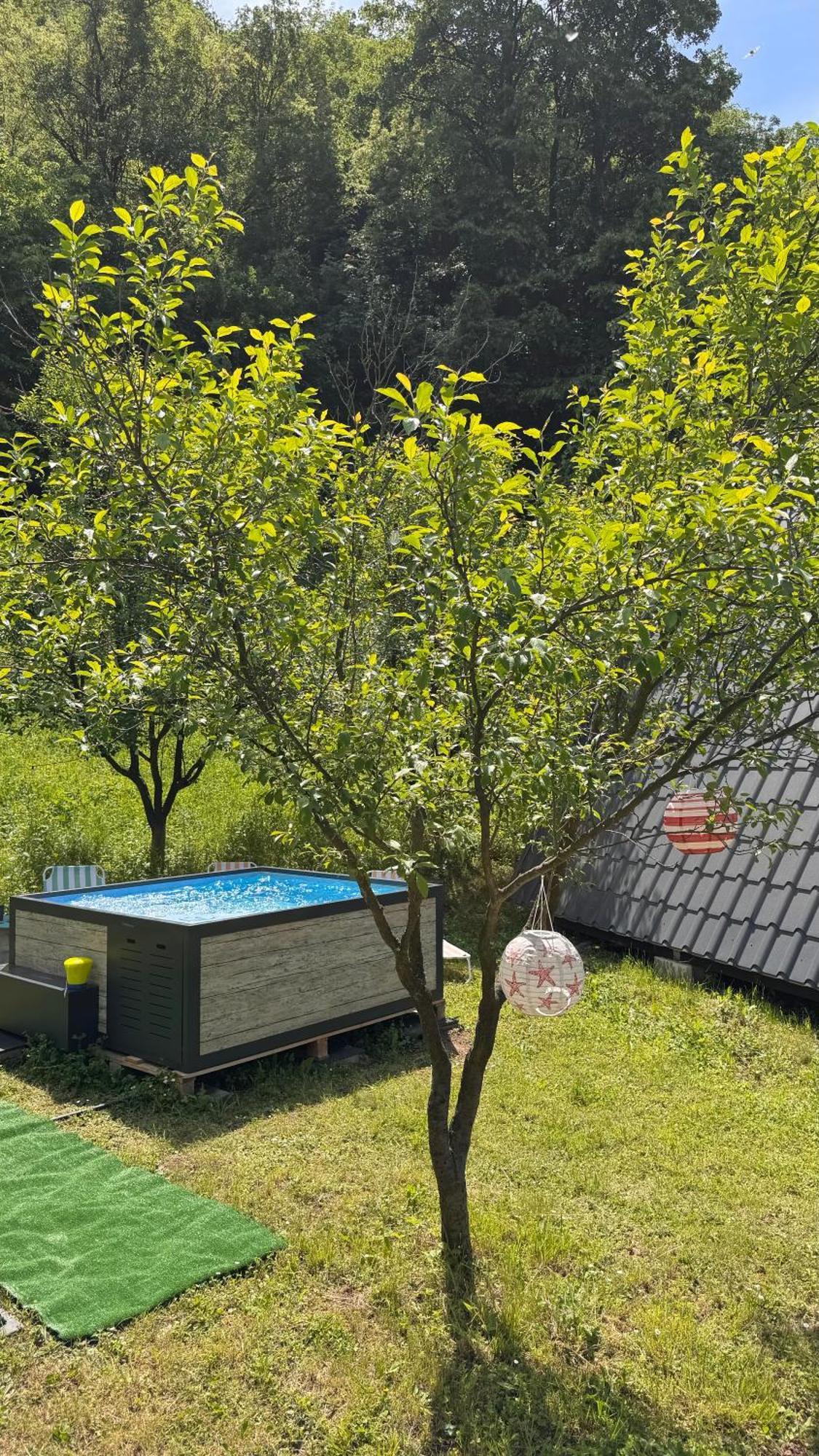 Cabane A-Frame Svinita Kültér fotó